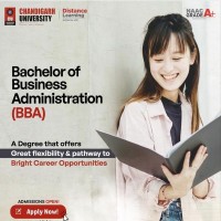 Distance BBA Course  Online BBA Program Chandigarh University